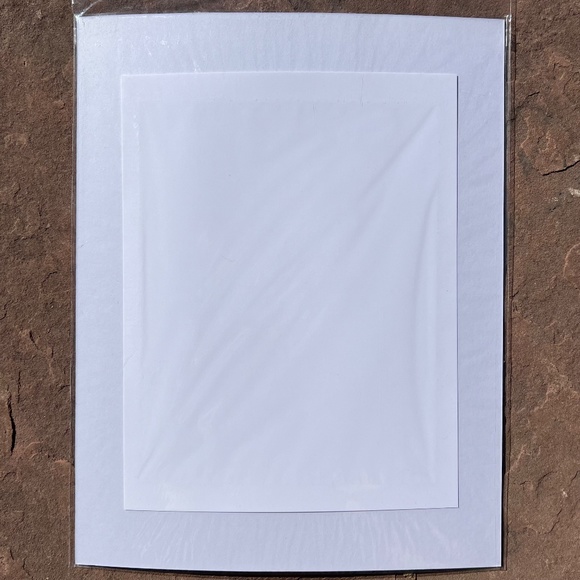 Art - Orange Daisy Eyes Skull Matted Print; Rare/few prints available; Frameable - Picture 2 of 6